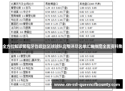 全方位解读葡萄牙各级别足球球队完整详尽名单汇编指南全面资料集