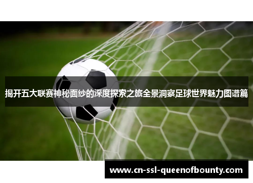 揭开五大联赛神秘面纱的深度探索之旅全景洞察足球世界魅力图谱篇