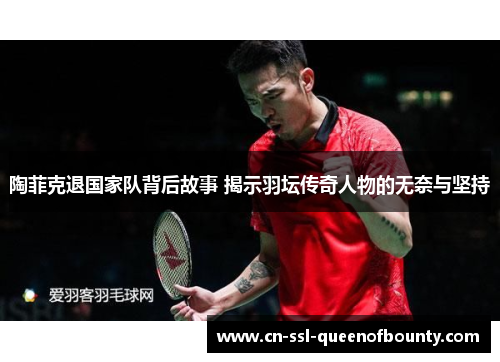 陶菲克退国家队背后故事 揭示羽坛传奇人物的无奈与坚持