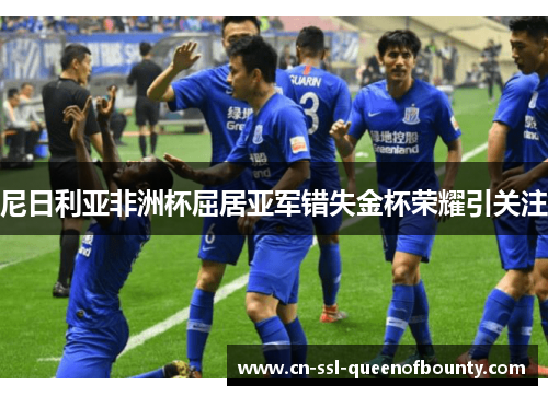 尼日利亚非洲杯屈居亚军错失金杯荣耀引关注