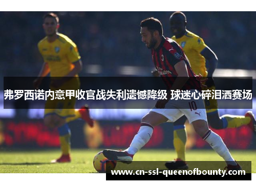 弗罗西诺内意甲收官战失利遗憾降级 球迷心碎泪洒赛场