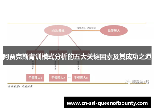 阿贾克斯青训模式分析的五大关键因素及其成功之道